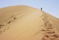 DUNES OF THE NAMIB DESERT